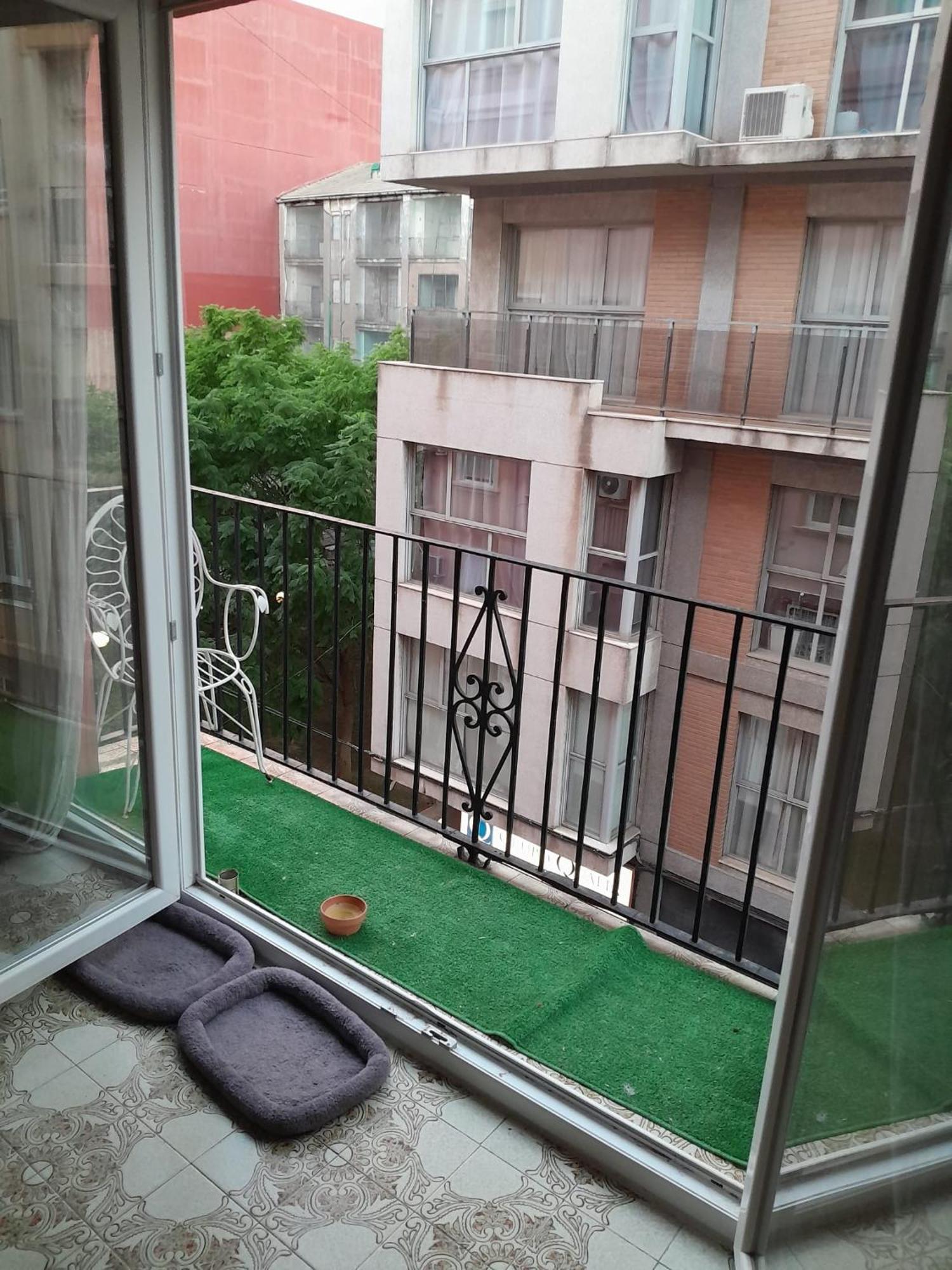 Gemuetliches Zimmer "Gold" Fuer 2 Personen Und Katzenliebhaber Valencia Buitenkant foto